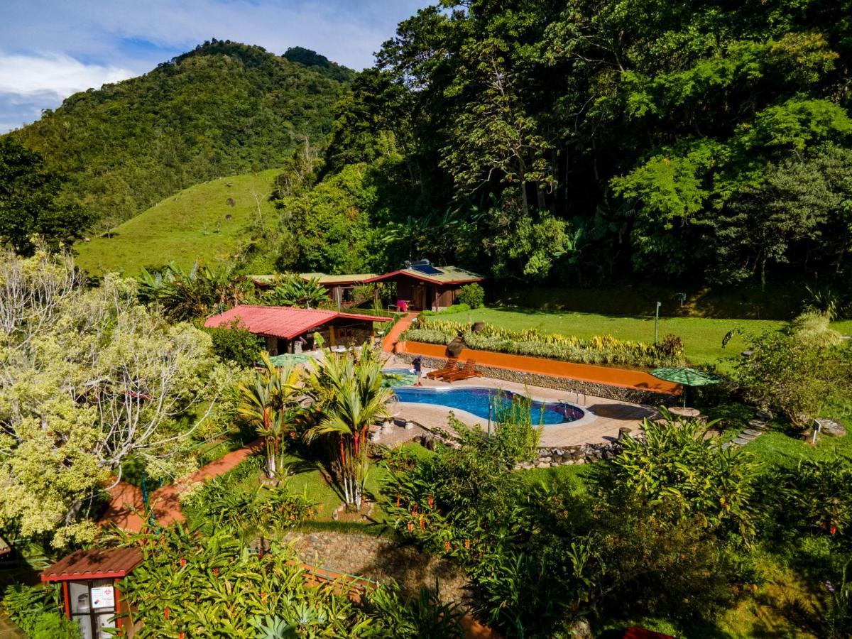 Hotel De Montana El Pelicano San Isidro De El General Dış mekan fotoğraf
