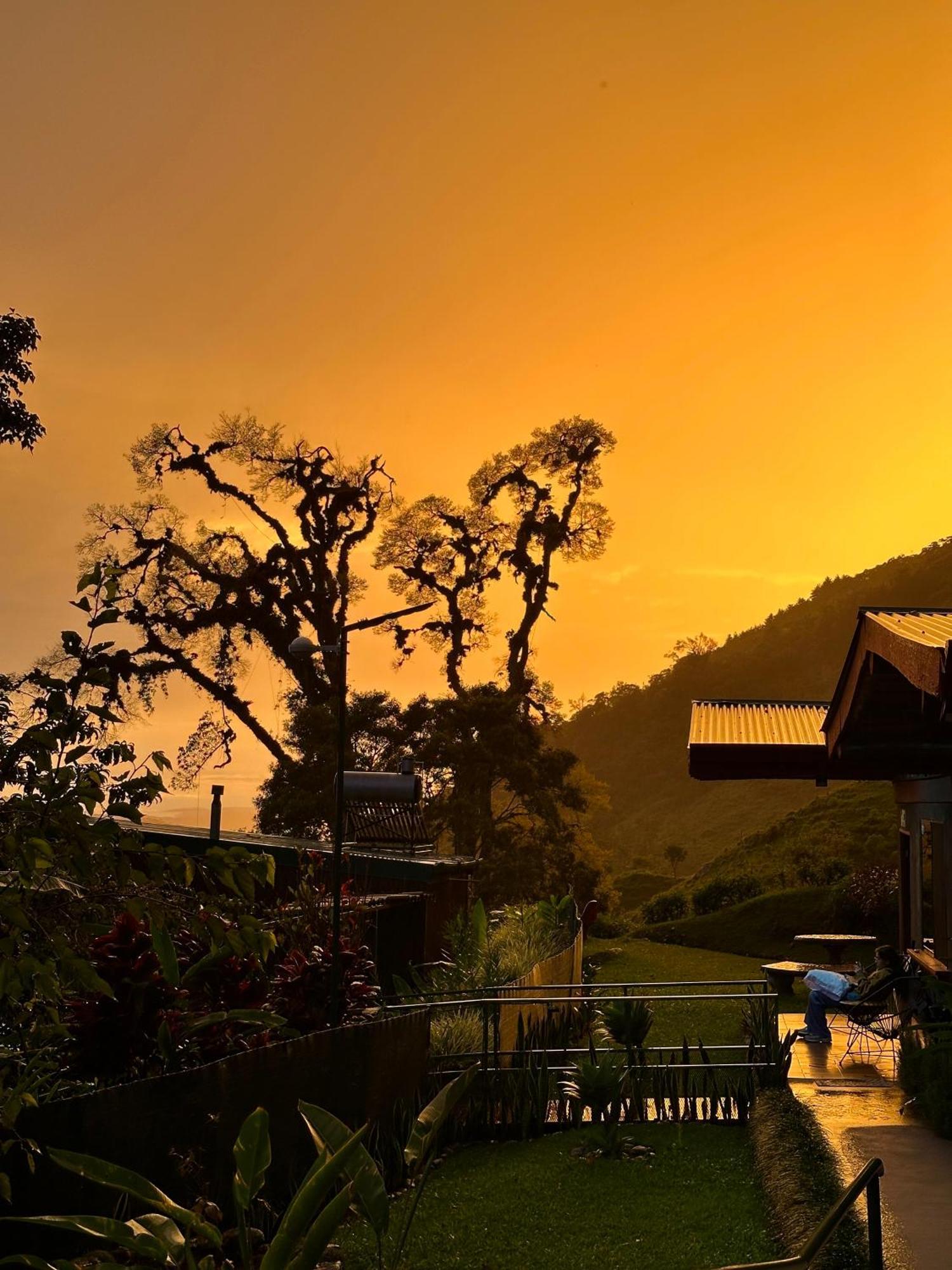 Hotel De Montana El Pelicano San Isidro De El General Dış mekan fotoğraf